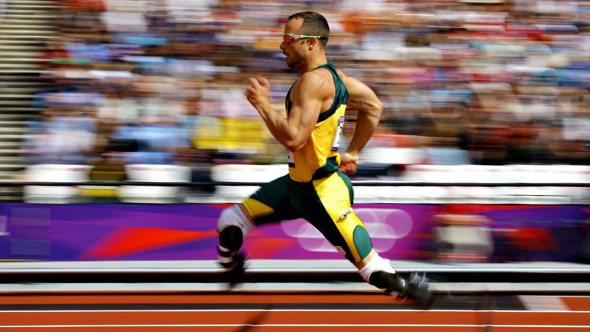 世界杯赛场的环保材料使用，世界杯材质